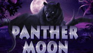 Игровой автомат Panther Moon