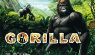 Игровой автомат Gorilla