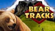 Игровой автомат Bear Tracks